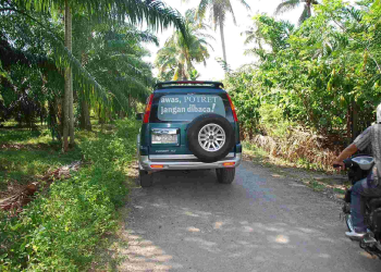 Dalam Perjalanan Panjang