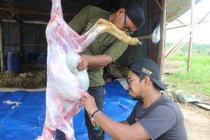 Hidupkan Tradisi Meugang, Lumbung Ternak Wakaf Hadirkan Daging Terjangkau Untuk Masyarakat Prasejahtera - D76E4240 210F 4B46 AC15 7336C9D8E32C | ACT Aceh | Potret Online