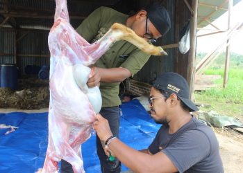 Hidupkan Tradisi Meugang, Lumbung Ternak Wakaf Hadirkan Daging Terjangkau Untuk Masyarakat Prasejahtera