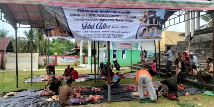 Masyarakat Desa Kulam Syamtalira Aron Kurban Empat Ekor Lembu - 00F65FB3 9F7A 4A98 8912 013A4EE35348 | Aceh | Potret Online
