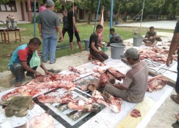Keluarga Besar Guru SMAN 1 Lhokseumawe Selenggarakan Kurban Idul Adha 1443 H