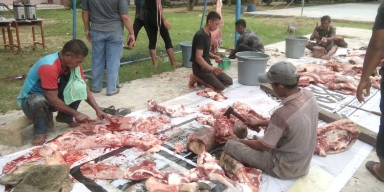 Keluarga Besar Guru SMAN 1 Lhokseumawe Selenggarakan Kurban Idul Adha 1443 H - 487FD038 55E5 4BCF B183 31680BA85C6F | Idul Adha | Potret Online