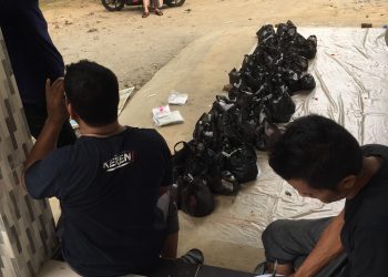 Kala Masyarakat Aceh Berkurban Dalam Ancaman PMK