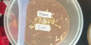 Memek Simeulue, Sekali Mencoba Terasa Nikmatnya