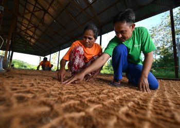 Ampas Kelapa Berharga dari Halmahera
