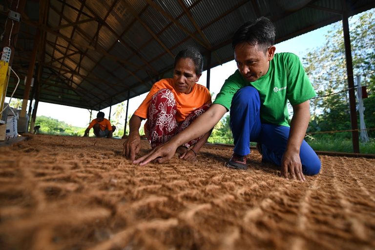Ampas Kelapa Berharga dari Halmahera