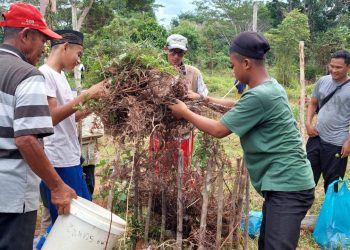 Pemanfaatan Lahan Perkarangan Dalam Pemenuhan Kebutuhan Pangan Pondok Pesantren Hidayatullah Mentawai