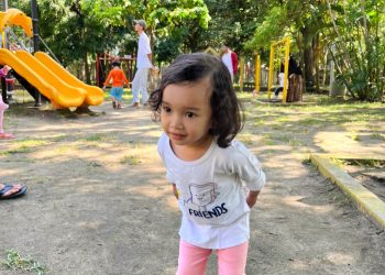 HCI dan 6 Ranah Pengembangan di TK