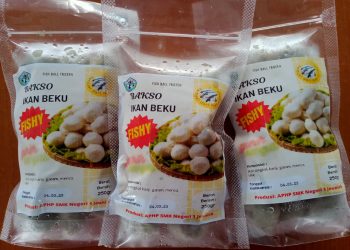 SIPETOK dan FISHY  Produksi  Siswa SMKN 1 Jeunieb