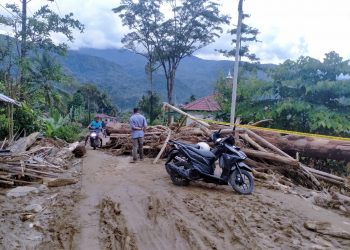 Pendekar Lembah Mahoni