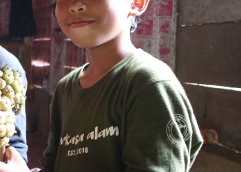 Tentang sepeda listrik