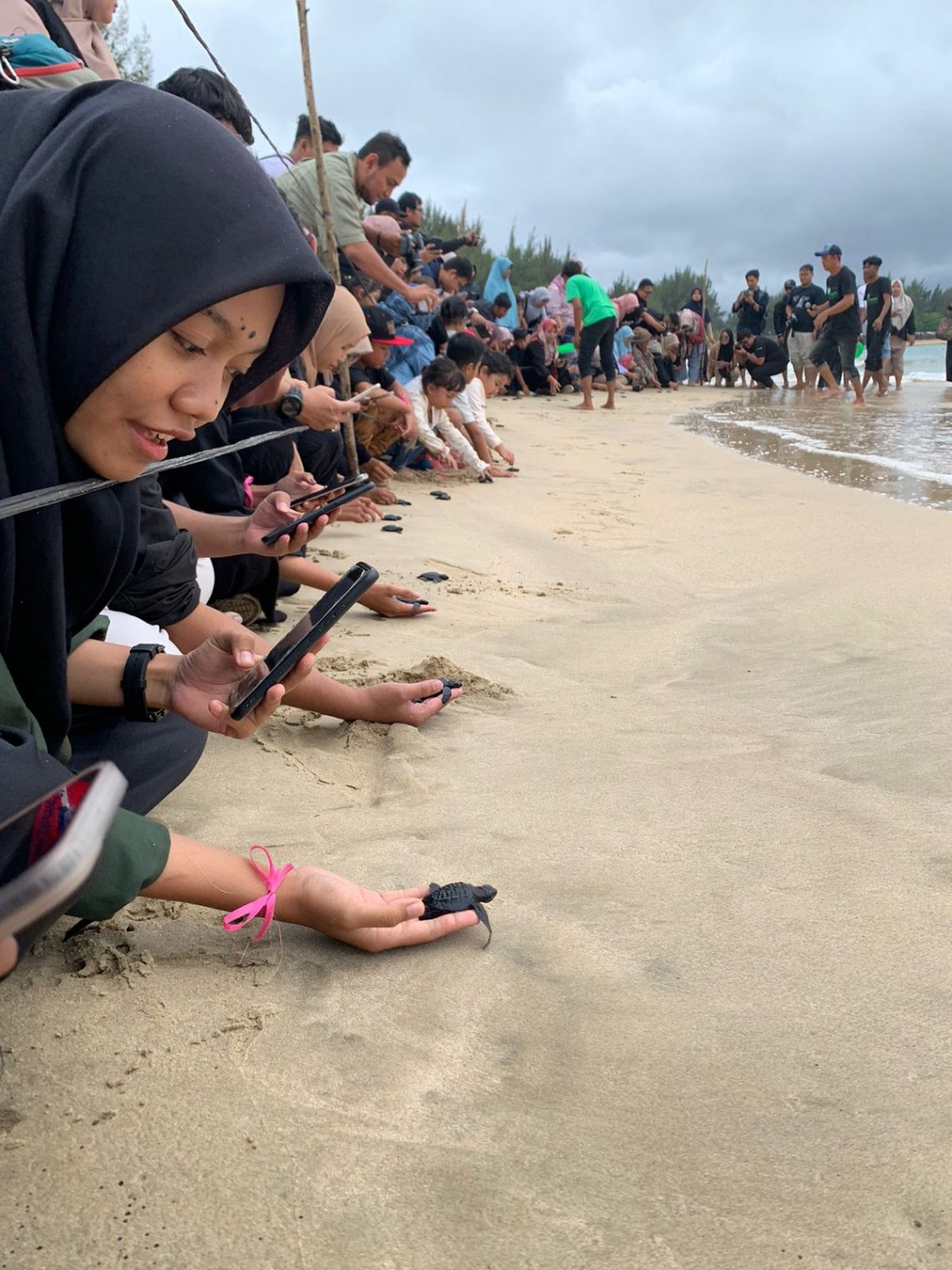 Gerakan Aksi Baik,  Selamatkan Penyu