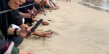 Gerakan Aksi Baik, Selamatkan Penyu