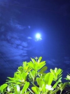 IMBASAN CAHAYA REMBULAN - D50917C7 7491 42CE B6FD 9A403A303DCC | POTRET Budaya | Potret Online