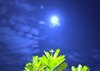 IMBASAN CAHAYA REMBULAN