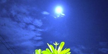 IMBASAN CAHAYA REMBULAN - D50917C7 7491 42CE B6FD 9A403A303DCC | POTRET Budaya | Potret Online