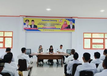 DPMG Aceh Selatan Sosialisasi Optimalisasi SAKIP Melalui Monitoring dan Evaluasi Digital