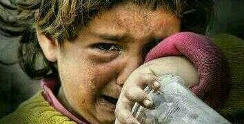 Tanah Gaza - 115dc383 c3d0 4f5c b207 410c0f96de93 | POTRET Budaya | Potret Online