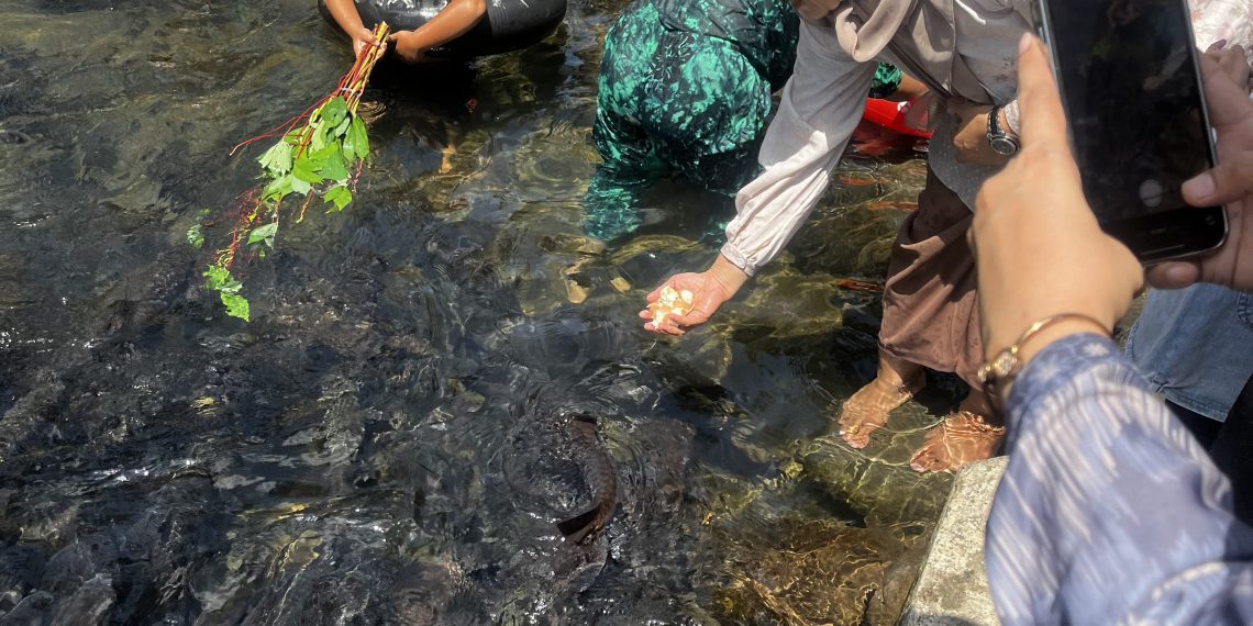 Berwisata Bersama Keluarga ke Objek Wisata  Ikan Larangan Lubuk Landur