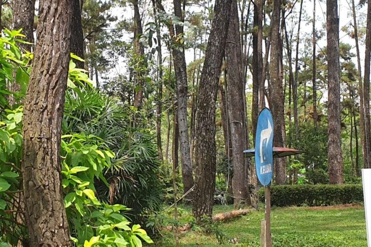 Penyelamatan Makam Pangeran Kramojayo sebagai Cagar Budaya | Potret Online