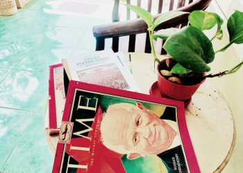 Dwifungsi Dan Moonlighting