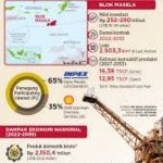 Koperasi Sebagai Pilihan Badan Hukum Usaha Tambang - 2025 04 21 23 23 24 | Artikel | Potret Online
