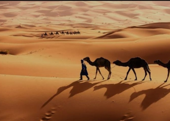 Ketika Abu Bakar Berhenti Berderma dan Allah Menegurnya