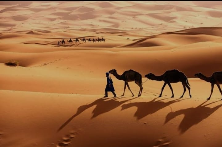 Ketika Abu Bakar Berhenti Berderma dan Allah Menegurnya