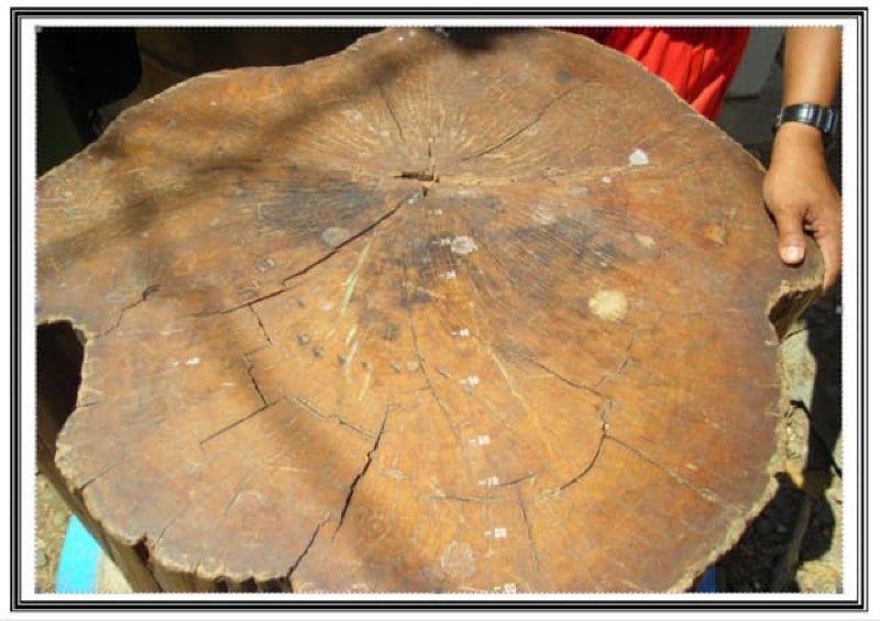 Di antara Cincin Lingkar Kesaksian