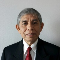 Dr. Surya Dharma: Mengurai Benang Kusut Pengembangan Energi Terbarukan di Indonesia