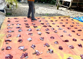 🚩SELAMAT PAGI MERAH PUTIH