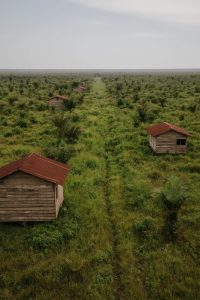 Kenapa Warga Ramai Menolak Program Transmigrasi? - 2025 07 17 06 29 31 | Artikel | Potret Online