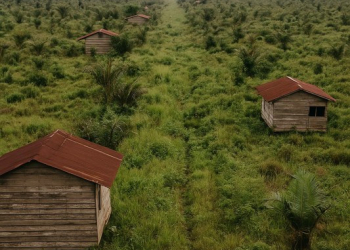 Kenapa Warga Ramai Menolak Program Transmigrasi?