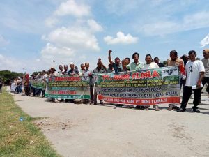 Aliansi Masyarakat Menggugat Keadilan Desak Pemerintah Tuntaskan Konflik Lahan di Aceh Timur - 63ec8d6c f4a0 4d9e 94aa 62145f573d21 | Artikel | Potret Online