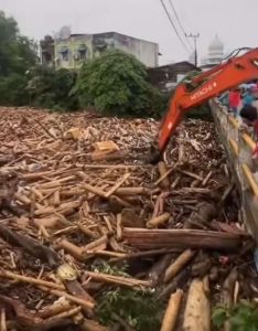 Harmony with Nature: A Global and Islamic Perspective