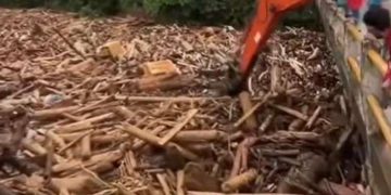 Harmony with Nature: A Global and Islamic Perspective