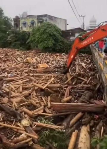 Harmony with Nature: A Global and Islamic Perspective