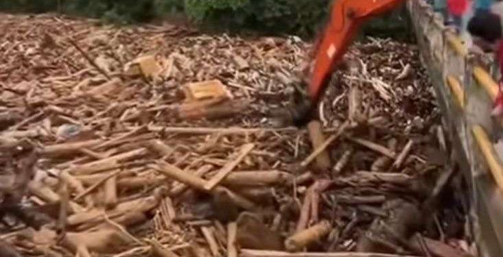 Harmony with Nature: A Global and Islamic Perspective