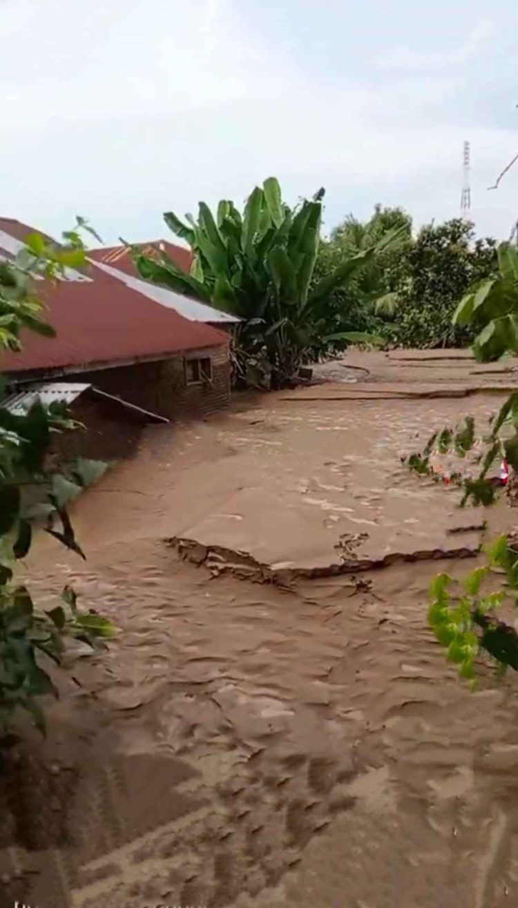 Ketika Negara Menyangkal Bencana | Potret Online