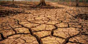 Rubrik Kisah dan Karya