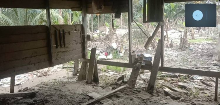 Amazon Introduces Olympus AI for Enterprise Applications | Potret Online