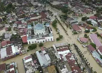 981515F7-5EC1-450B-BAE2-49BD8D6961B2_11zon