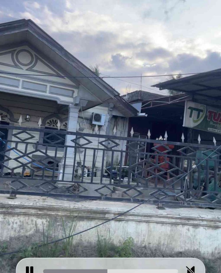 Predator-Predator Bumi | Potret Online