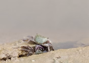 a0874485-5883-4836-9faa-17bcddc8a681