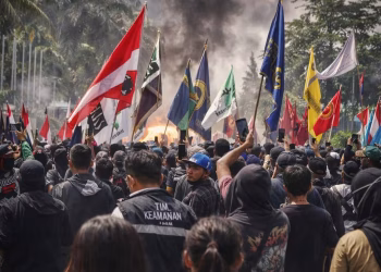 06d8027d-a2d7-42d1-a3d1-ad2fe9ddf489