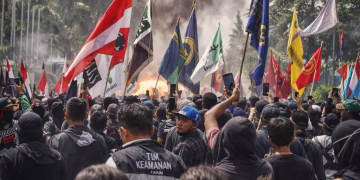 06d8027d-a2d7-42d1-a3d1-ad2fe9ddf489