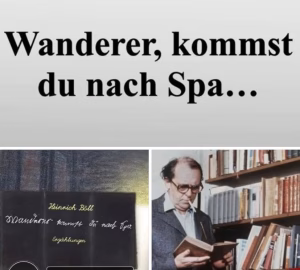 317dd9d6-5bff-4627-9814-9d82083db2e2