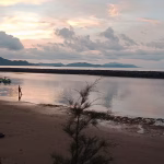 ab6ebc5e-f845-41d9-b310-36c4dc691b80