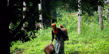 o_1ac3cuhsu1t891vdgnribpg1mqar