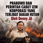 9d39f128-c989-4ed6-adf4-3611a2014dcf